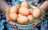 Какие куриные яйца лучше