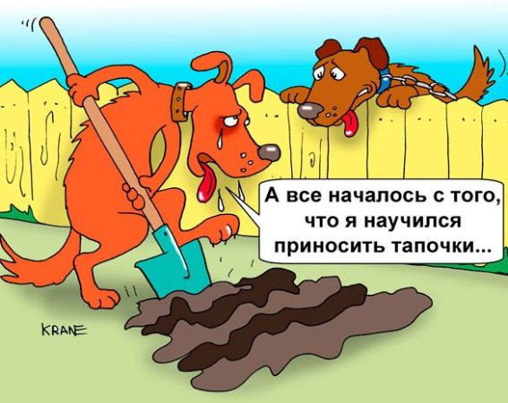 карик 2