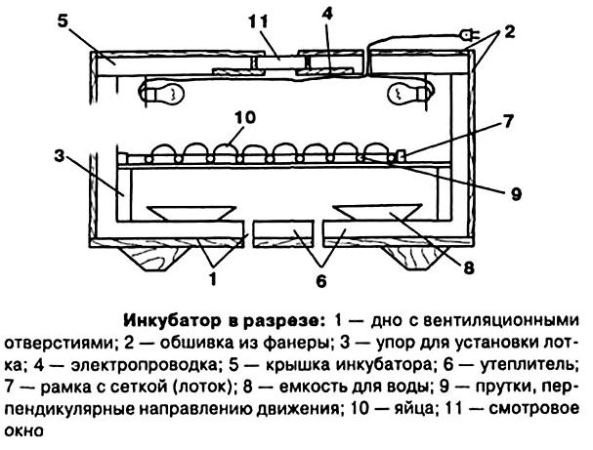 схема инкубатора для черепах